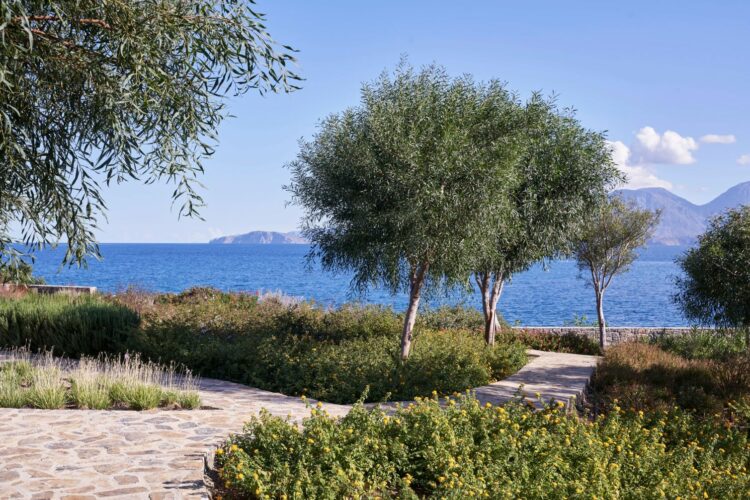 Ammoudara Beach Villa Luxuriöses Ferienhaus Kreta Ostküste Mediterraner Garten