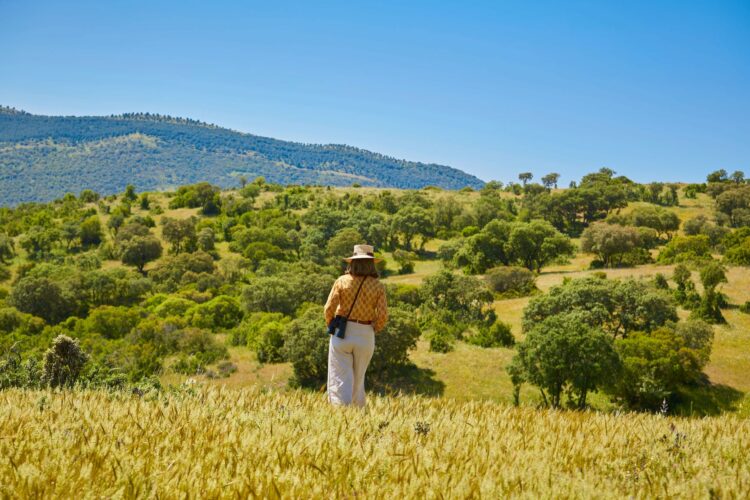 Country Estate Luxus Ferienvilla Spanien Kastilien Andalusien Mieten Fotosafari