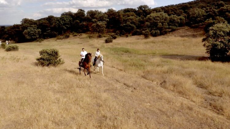 Country Estate Traumhaftes Ferienhaus Spanien Kastilien Andalusien Mieten Reiten