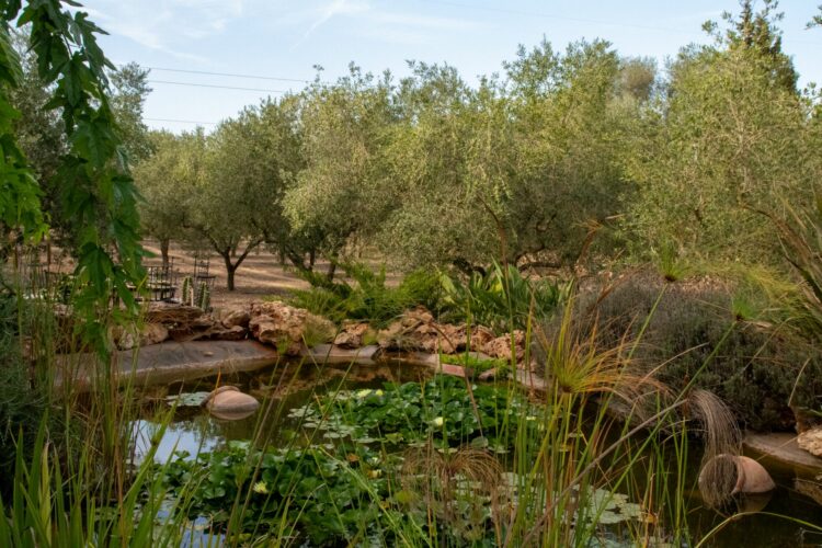 Finca Llubi Luxuriöses Ferienhaus Mallorca Teich