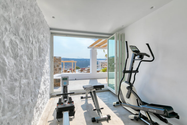 Heavenly Retreat Resort Luxusvilla Mykonos Mieten Gym