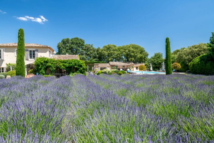 Mas De La Garrigue Luxus Ferienvilla Provence Mediterraner Garten