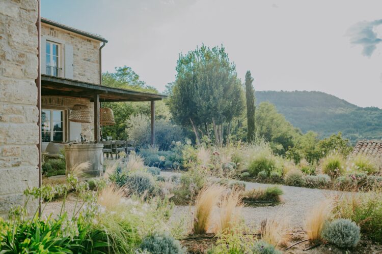 Stanzia Vinella Luxus Ferienhaus Istrien Kroatien Mieten Mediterraner Garten