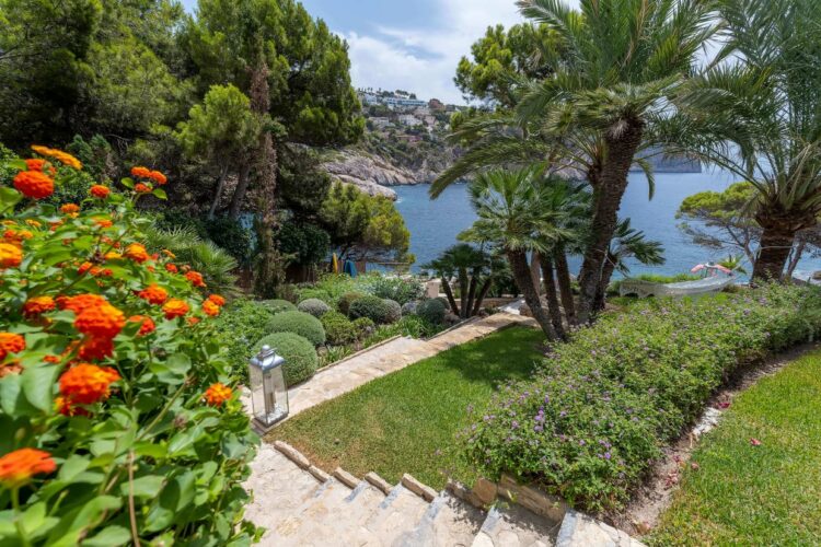 Villa Port Andraxt View Luxuruöses Ferienhaus Mallorca Mediterraner Garten