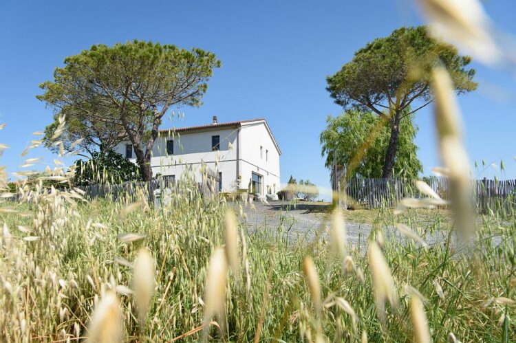 Villa Santa Luce Luxus Ferienhaus Toskana Mie (12)