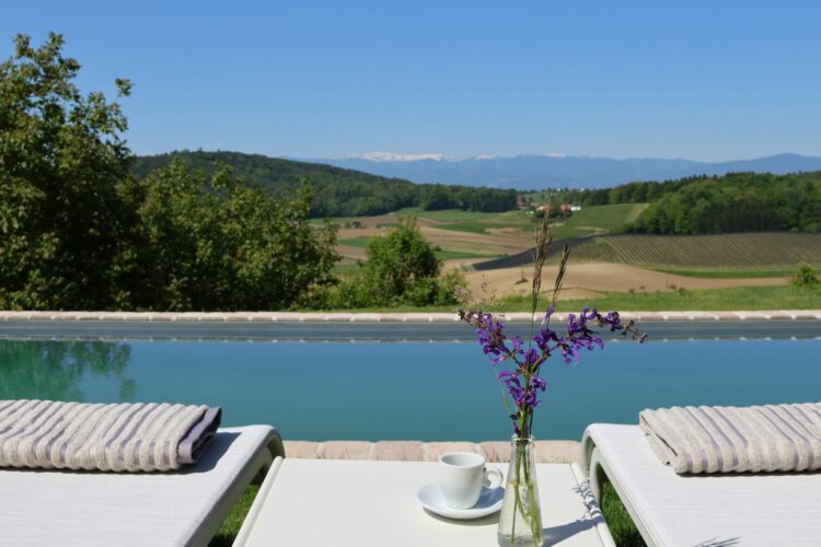 Weinberg Residenz Südsteiermark Luxus Ferienhaus Österreich Liegen Am Pool Ausblick